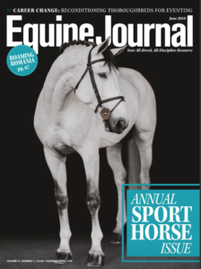 Equine Journal Cathy Drumm